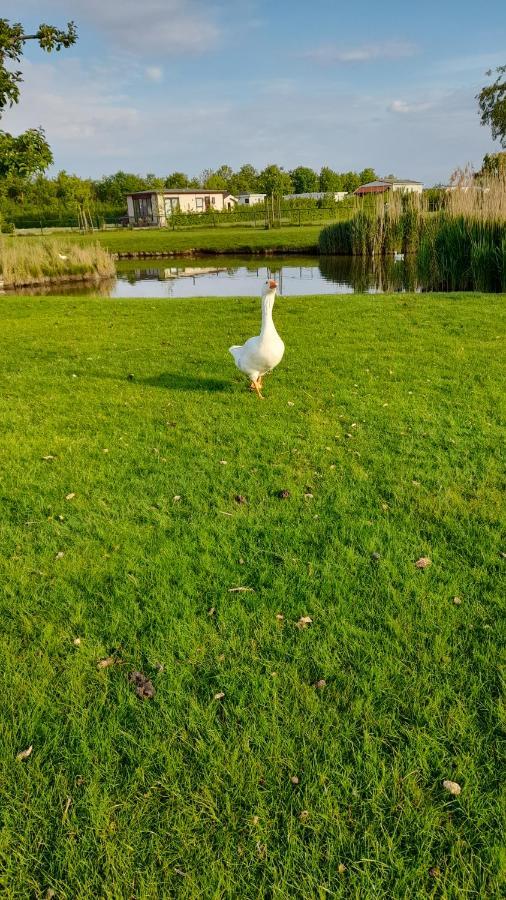 'T Groentje Baarland Buitenkant foto
